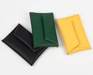 eyeglass-case-with-neck-strap-color-variation