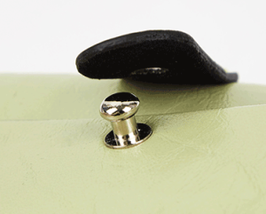 green eyeglass case collar stud detail