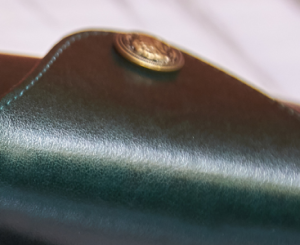 green-glasses-case-fabric-detail